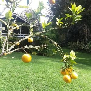 Meet your Posher, Leslie